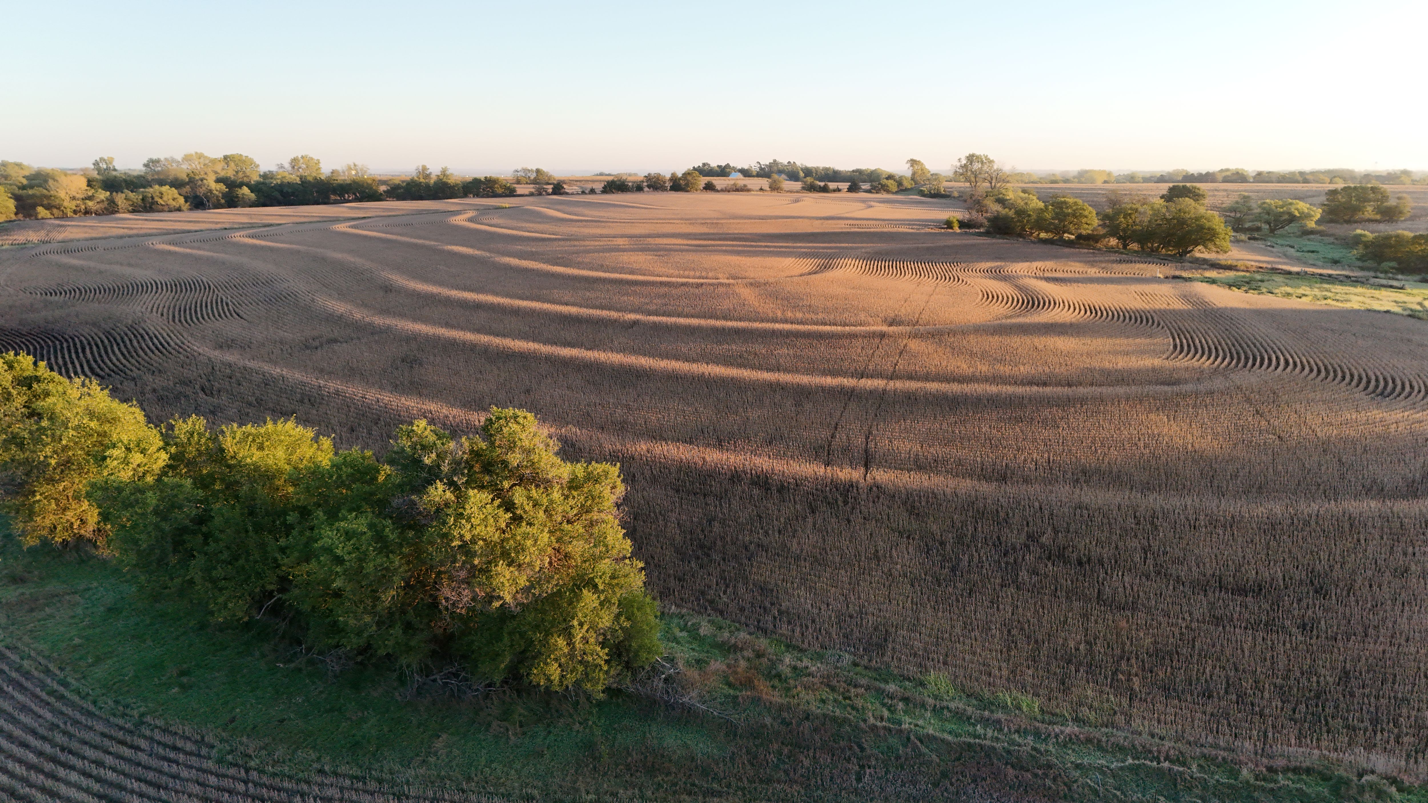 Listing Photo: lancaster-county-ne-125-acres (3)
